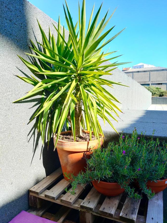 Porto Santa Catarina - Apartment With Terrace מראה חיצוני תמונה